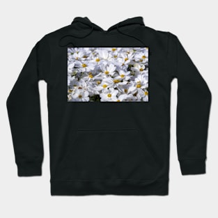 White Daisy Flowers Hoodie